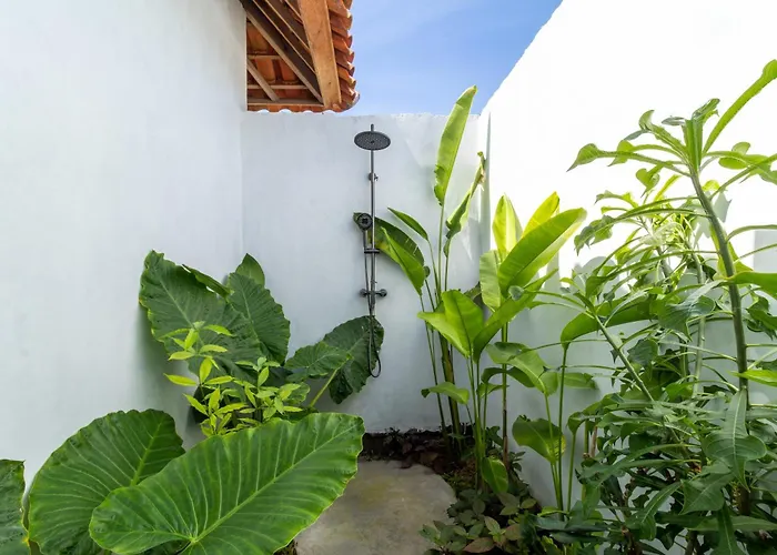 Breath House Penida Polilit
